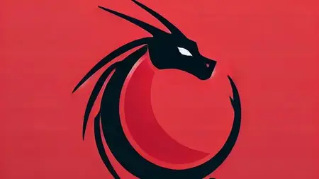 Practical Kali Linux: Kali Networking, Testing, And Beyond