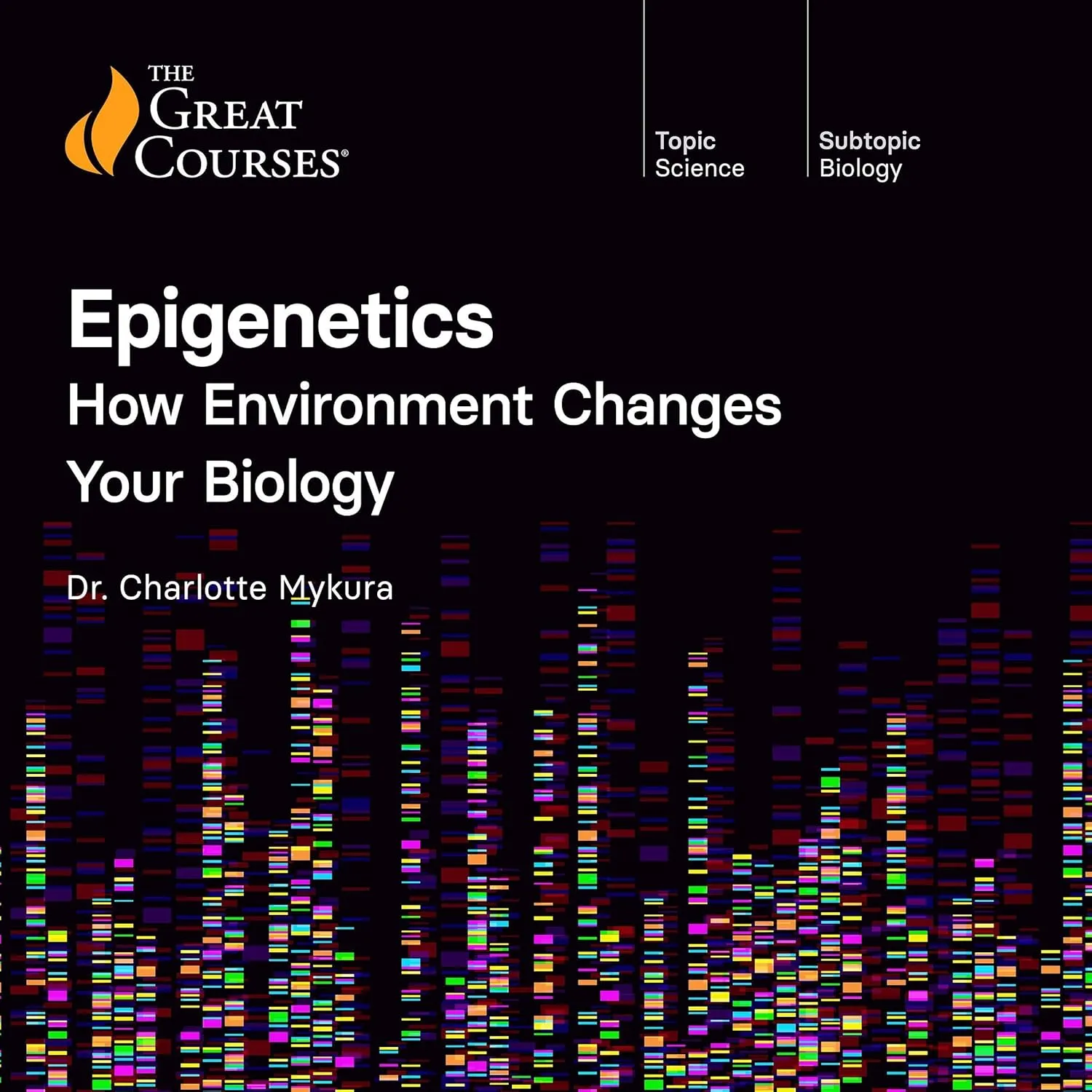 Epigenetics: How Environment Changes Your Biology