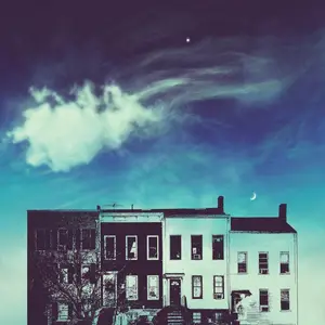 Kirk Knuffke - Window (2025) [Official Digital Download]