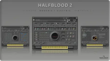 Insanity Samples HALFBLOOD 2 v1.5.0 KONTAKT