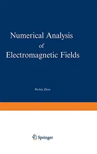 Numerical Analysis of Electromagnetic Fields