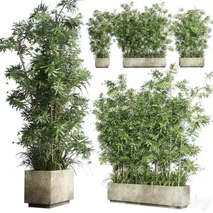 3dsky - Collection Outdoor plant 49 concrete dirt old vase bax pot tree fern bamboo 3593351 - 3D Model