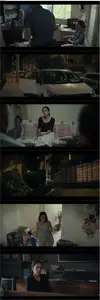 Glass Curtain (2023) Cam Perde