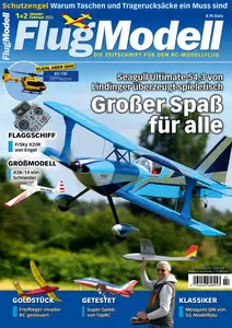 FlugModell - Januar-Februar 2025