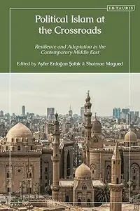 Political Islam at the Crossroads