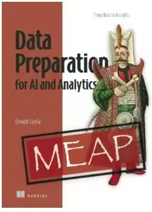 Data Preparation for AI and Analytics (MEAP V03)