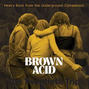 VA - Brown Acid - The Twentieth Trip (2025) [Official Digital Download 24/48]