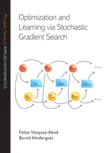 Optimization and Learning via Stochastic Gradient Search