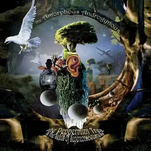 Amorphous Androgynous - 3 Albums (1993-2008)