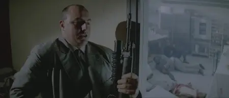 Nikita (1990)