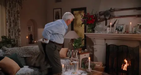 Naked Gun 33⅓: The Final Insult (1994)