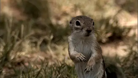 PBS Life in Death Valley