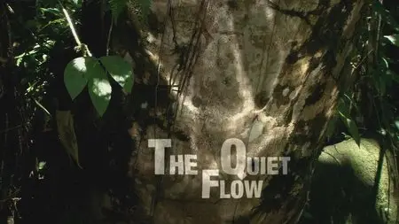 Water Life: Episode 5 - The Quiet Flow / Mundos de agua / Водная жизнь. Серия 5 - Неспешный поток (2008)