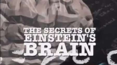 History Channel - Secrets of Einstein's Brain (2015)