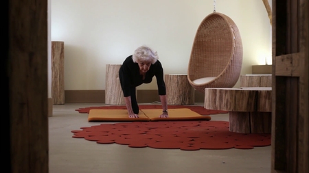 Inside the Human Body (2011)