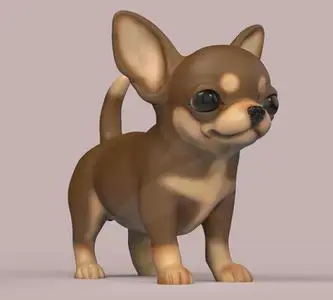 Cute Puppy Chihuahua dog