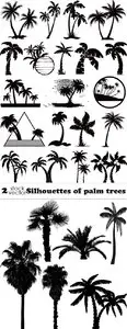 Vectors - Silhouettes of palm trees