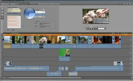 Pinnacle Studio Ultimate 14.0.0.7255 (2009/multi19)