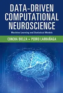 Data-Driven Computational Neuroscience