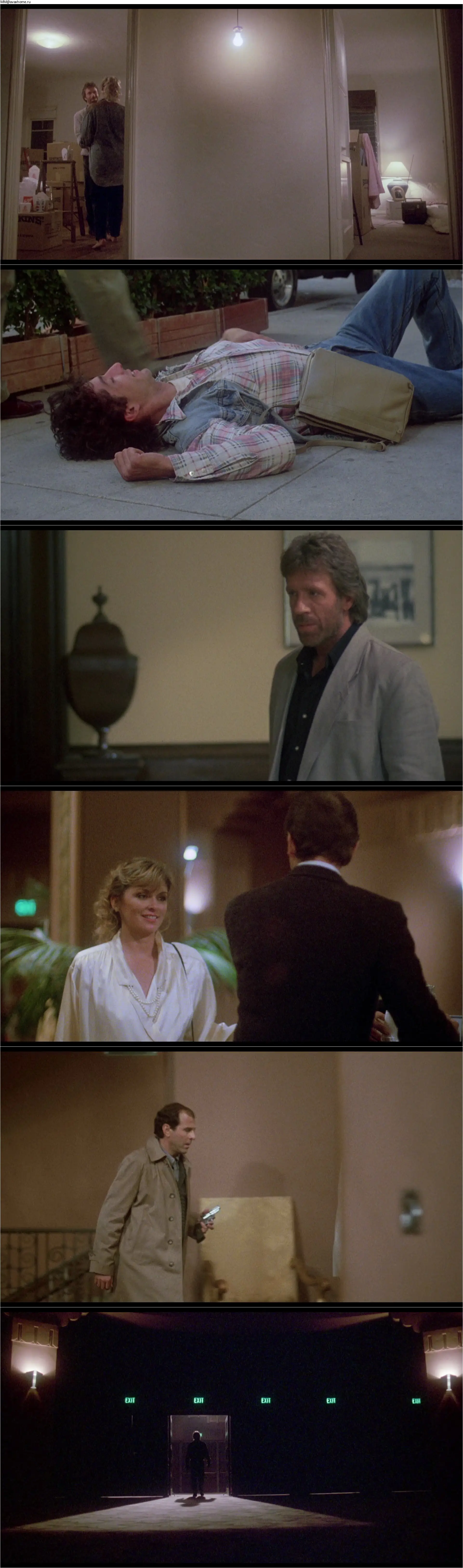 Hero and the Terror (1988)