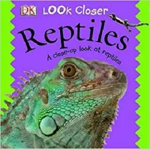 Reptiles : Look Closer