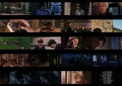 Harry Potter and the Philosopher's Stone (2001)