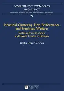 Industrial Clustering, Firm Performance and Employee Welfare : Evidence From the Shoe and Flower Cluster in Ethiopia