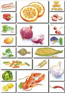 Food Illustrations