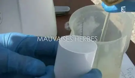 (Fr3) Mauvaises herbes (2011)