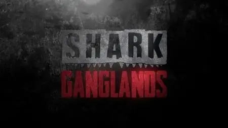 Smithsonian Ch. - Shark Ganglands (2020)