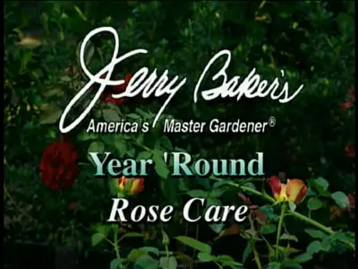 Jerry Baker - Year Round Rose Care