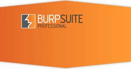 Burp Suite Professional 2020.7 Build 3287