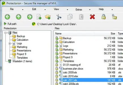 Braincell Protectorion 1.1.10.106