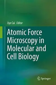 Atomic Force Microscopy in Molecular and Cell Biology