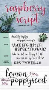 Raspberry Script Brush Font 2396946