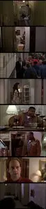 Diary of a Hitman (1991)