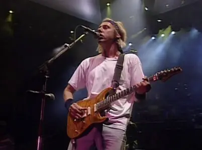 Dire Straits on the Night (1993)
