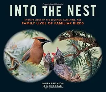 Into the Nest: Intimate Views of the Courting, Parenting, and Family Lives of Familiar Birds