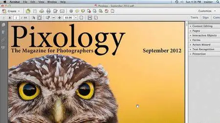 Building PDFs with Acrobat XI