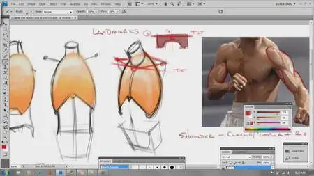Analytical Figure Drawing [repost]