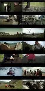 Of Horses and Men (2013) Hross í oss