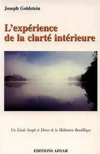 Joseph Goldstein, "L'expérience de la clarté intérieure"