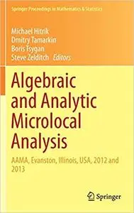 Algebraic and Analytic Microlocal Analysis: AAMA, Evanston, Illinois, USA, 2012 and 2013