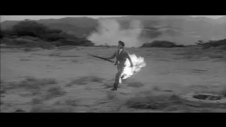 Branded to Kill (1967) [The Criterion Collection #38 Reissue] [ReUp]