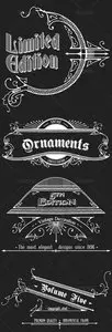 Vintage Ornaments and Brushes Vector Set 5