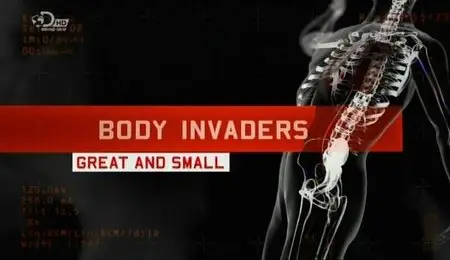 DC Body Invader's - Great and Small (2012)