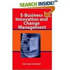 E-Business Innovation and Change Management