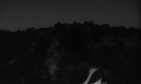 The Juniper Tree (1990)