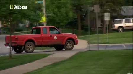 National Geographic - Attack In The Wild (2012)