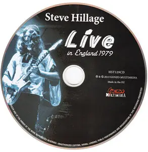 Steve Hillage Band - Live in England 1979 (2013)